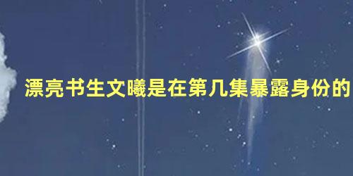 漂亮书生文曦是在第几集暴露身份的