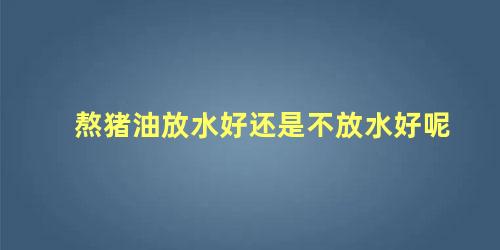熬猪油放水好还是不放水好呢