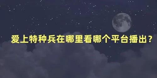 爱上特种兵在哪里看哪个平台播出？