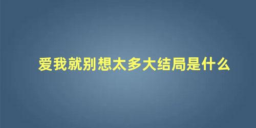 爱我就别想太多大结局是什么
