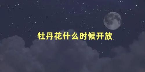 牡丹花什么时候开放