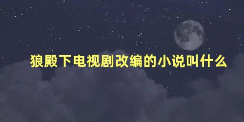 狼殿下电视剧改编的小说叫什么