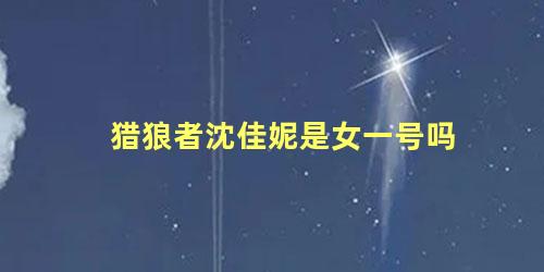 猎狼者沈佳妮是女一号吗