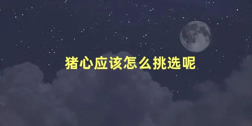 猪心应该怎么挑选呢