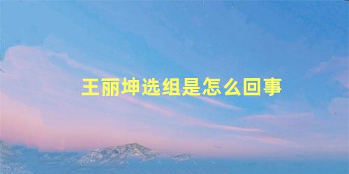 王丽坤选组是怎么回事