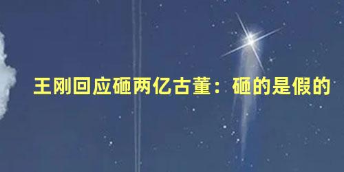 王刚回应砸两亿古董：砸的是假的