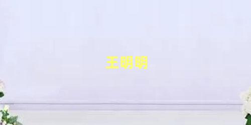 王明明
