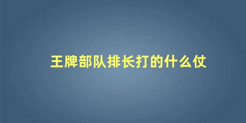 王牌部队排长打的什么仗