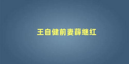 王自健前妻薛继红