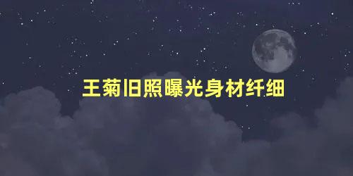 王菊旧照曝光身材纤细
