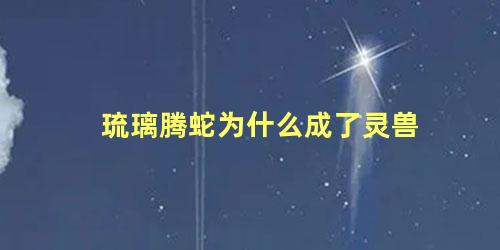 琉璃腾蛇为什么成了灵兽