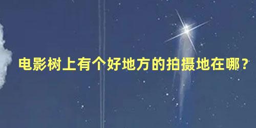 电影树上有个好地方的拍摄地在哪？