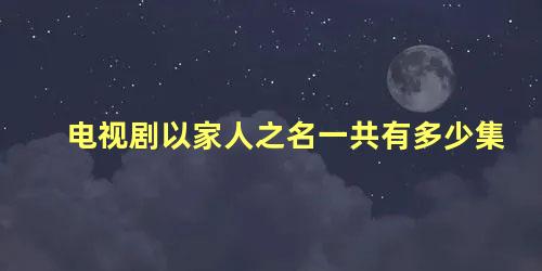 电视剧以家人之名一共有多少集