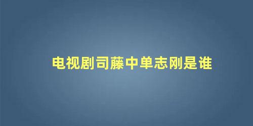 电视剧司藤中单志刚是谁