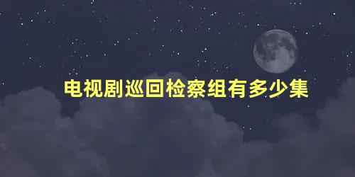 电视剧巡回检察组有多少集