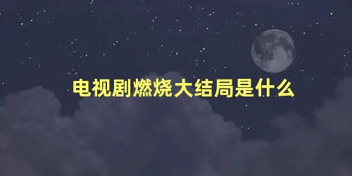 电视剧燃烧大结局是什么