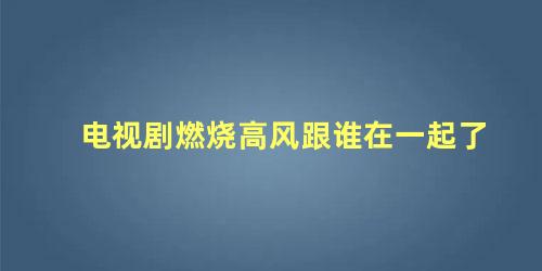 电视剧燃烧高风跟谁在一起了