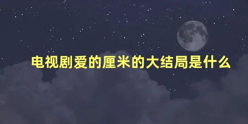 电视剧爱的厘米的大结局是什么