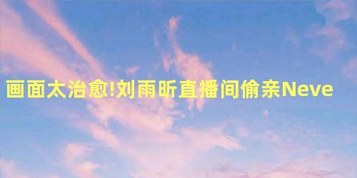 画面太治愈!刘雨昕直播间偷亲Never 画面太治愈!刘雨昕直播间偷亲Never