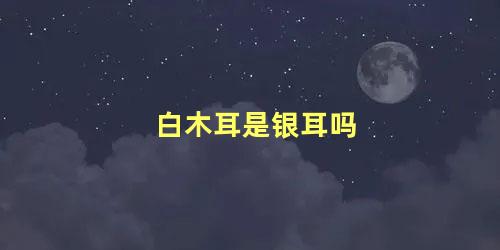 白木耳是银耳吗