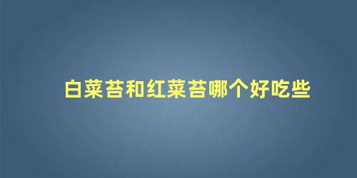 白菜苔和红菜苔哪个好吃些