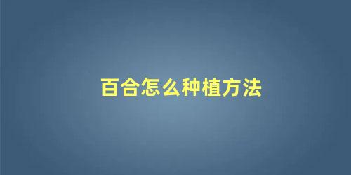 百合怎么种植方法