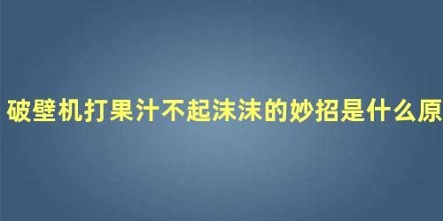 破壁机打果汁不起沫沫的妙招是什么原因