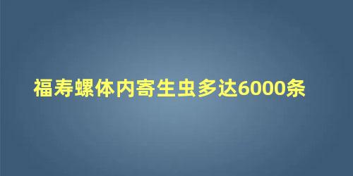 福寿螺体内寄生虫多达6000条