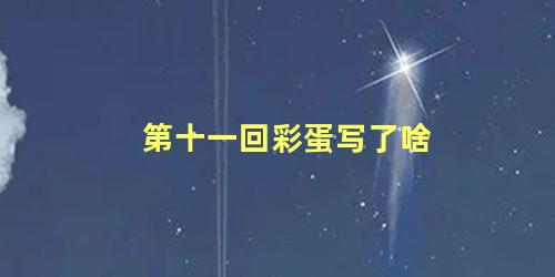 第十一回彩蛋写了啥