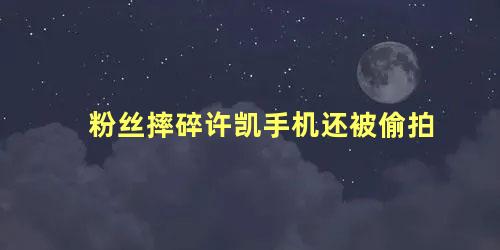粉丝摔碎许凯手机还被偷拍