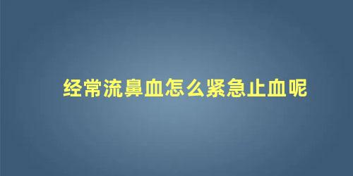 经常流鼻血怎么紧急止血呢