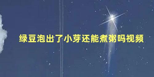 绿豆泡出了小芽还能煮粥吗视频