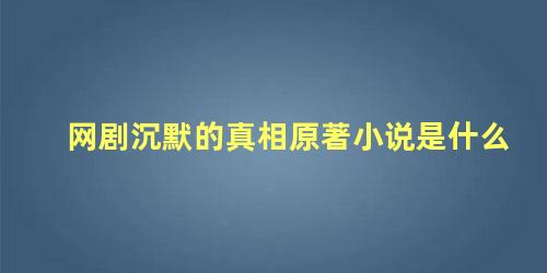 网剧沉默的真相原著小说是什么