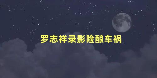 罗志祥录影险酿车祸