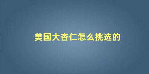 美国大杏仁怎么挑选的