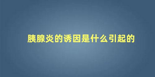胰腺炎的诱因是什么引起的