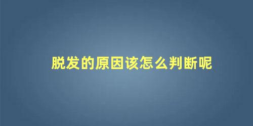 脱发的原因该怎么判断呢
