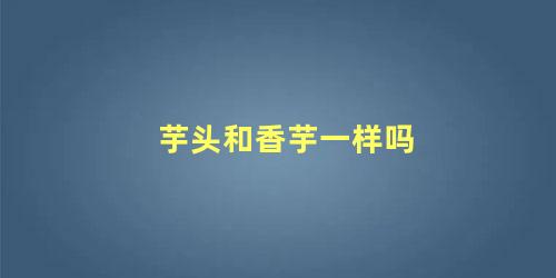 芋头和香芋一样吗