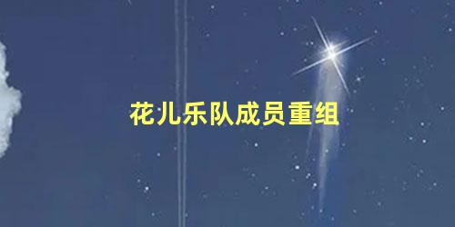 花儿乐队成员重组