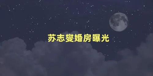 苏志燮婚房曝光
