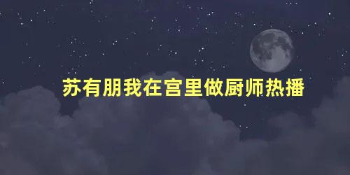 苏有朋我在宫里做厨师热播