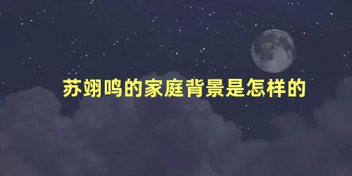 苏翊鸣的家庭背景是怎样的