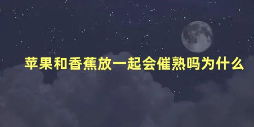 苹果和香蕉放一起会催熟吗为什么