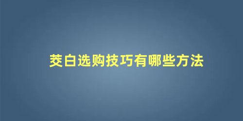 茭白选购技巧有哪些方法