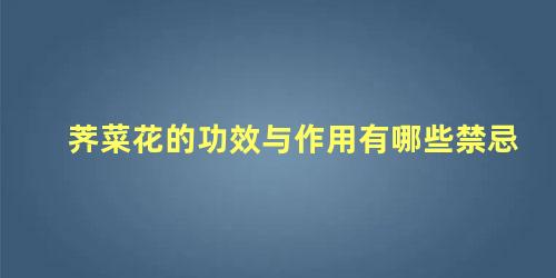 荠菜花的功效与作用有哪些禁忌