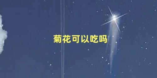 菊花可以吃吗