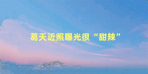 葛天近照曝光很“甜辣”