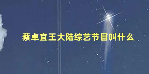 蔡卓宜王大陆综艺节目叫什么