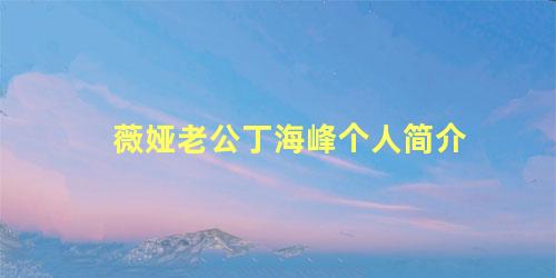 薇娅老公丁海峰个人简介