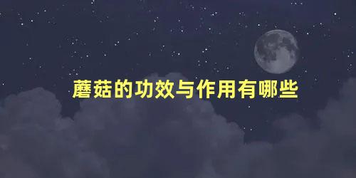 蘑菇的功效与作用有哪些